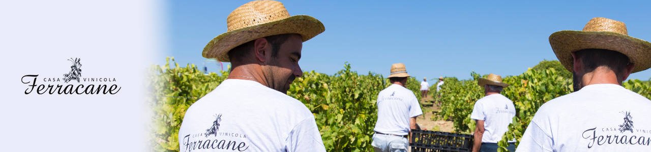 Ferracane Winery