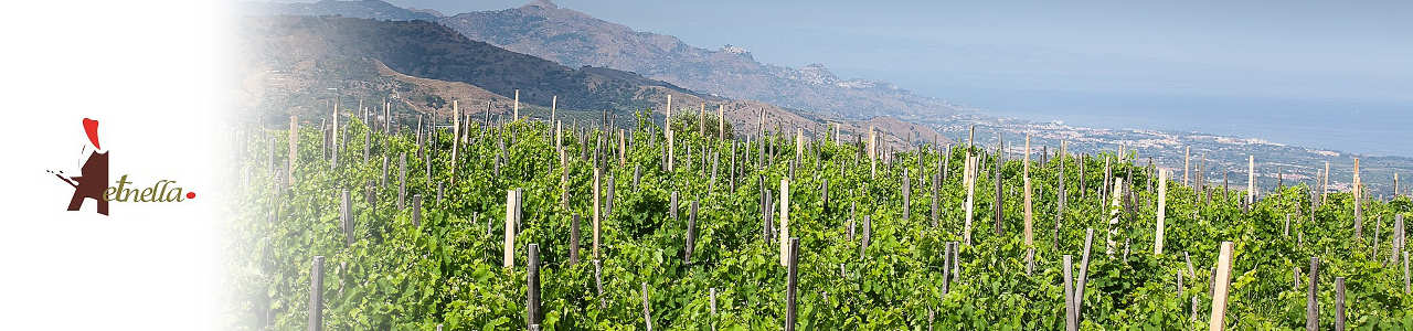 Cantina Etnella