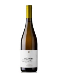 Giovanni Iannucci - La Forma 2017