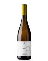 Giovanni Iannucci - Riecu 2017