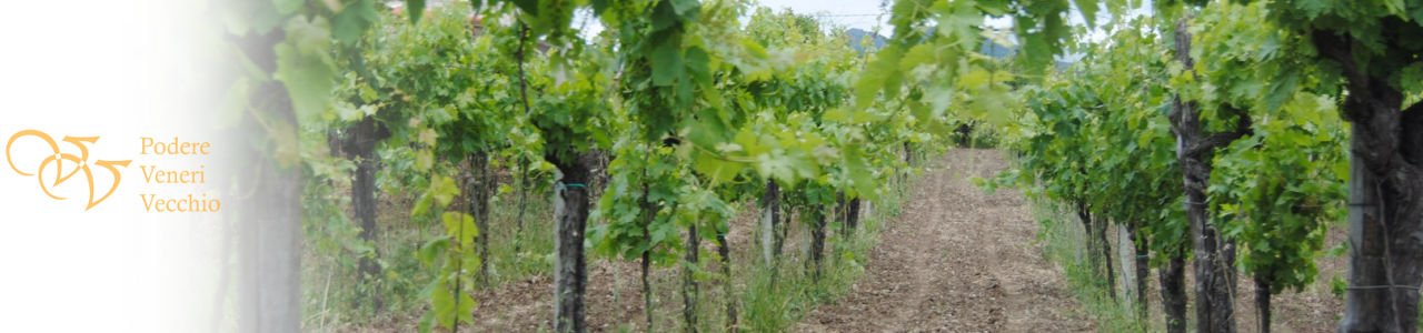 Podere Veneri Vecchio Winery