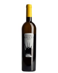 Ale.P.A. - Riccio Bianco Terre del Volturno IGT 2013