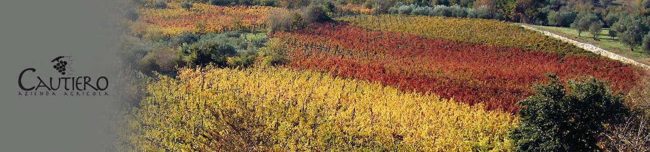 Cantina Cautiero