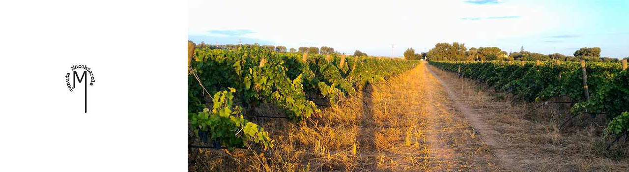 Cantina Tenuta Macchiarola