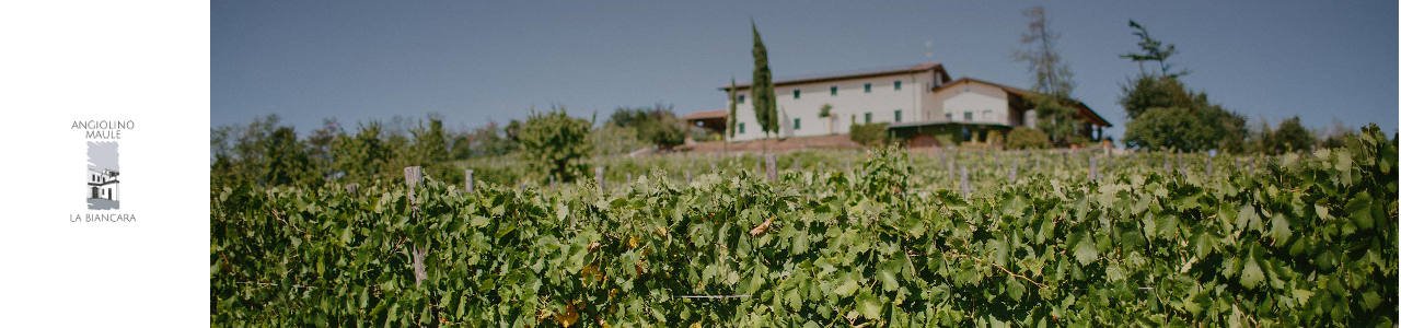 La Biancara Winery