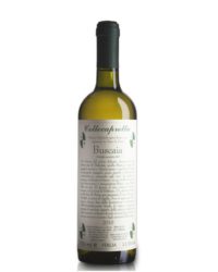 Collecapretta - Buscaia 2017