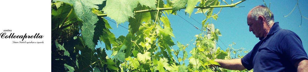 Cantina Collecapretta