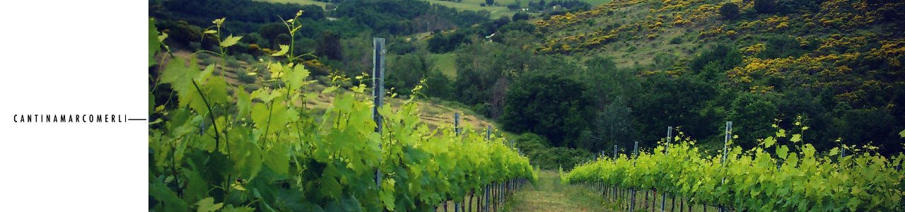 Marco Merli Winery