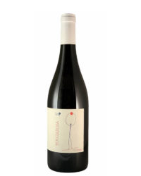Cantina Pantun - Buccia Rosa 2018
