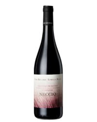 Riccardi Reale - Neccio Cesanese di Olevano Romano DOC 2015