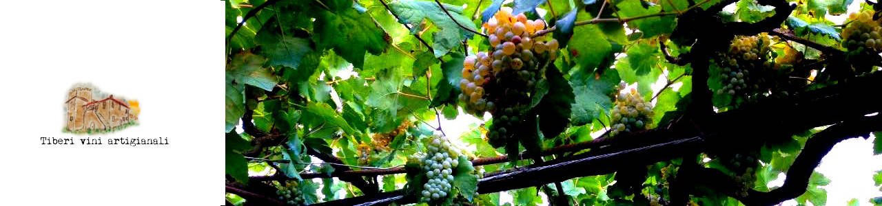 Tiberi Winery