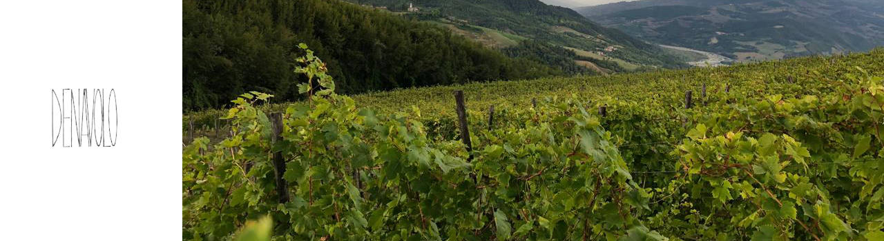 Cantina Denavolo