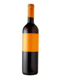Mario Macciocca - Monocromo Rosato 2022