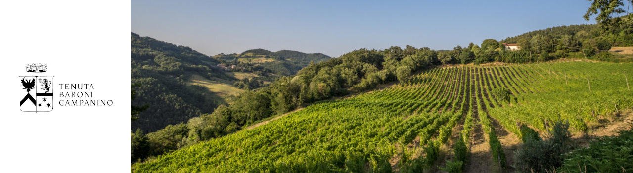 Barone Campanino Winery