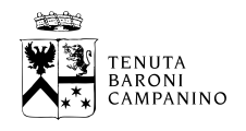 Cantina Barone Campanino
