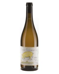Piccolo Podere del Ceppaiolo - CeppaBianco 2022