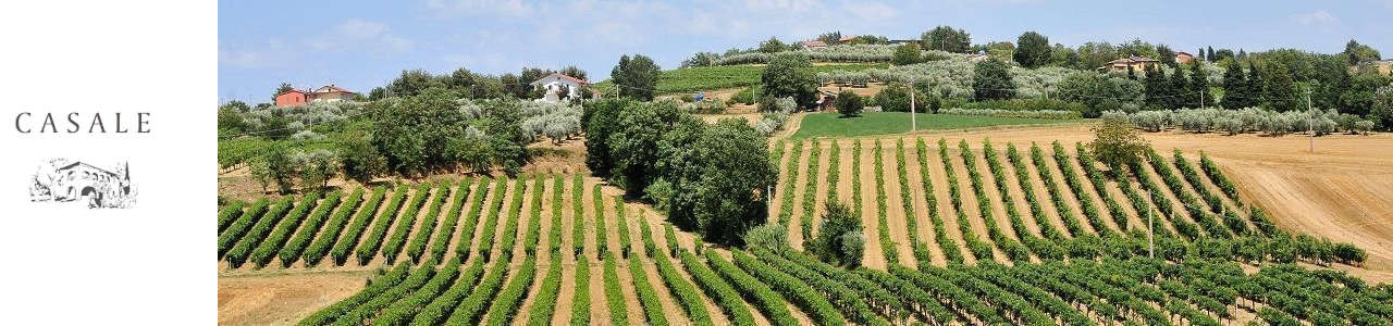 cantina-casale-giglioli_banner