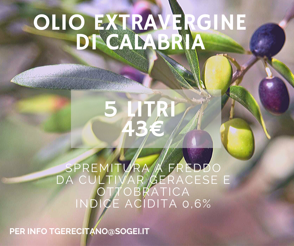 olio extraverginedi calabria olio-extraverginedi-calabria