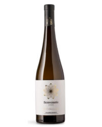 Benvenuto - Zibibbo Secco Calabria IGP 2023