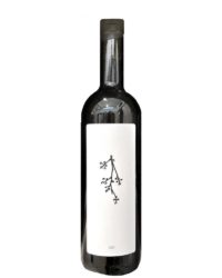 Manlio Manganaro - Grillo 2018