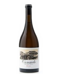 Alfredo Maestro - Consuelo 2016