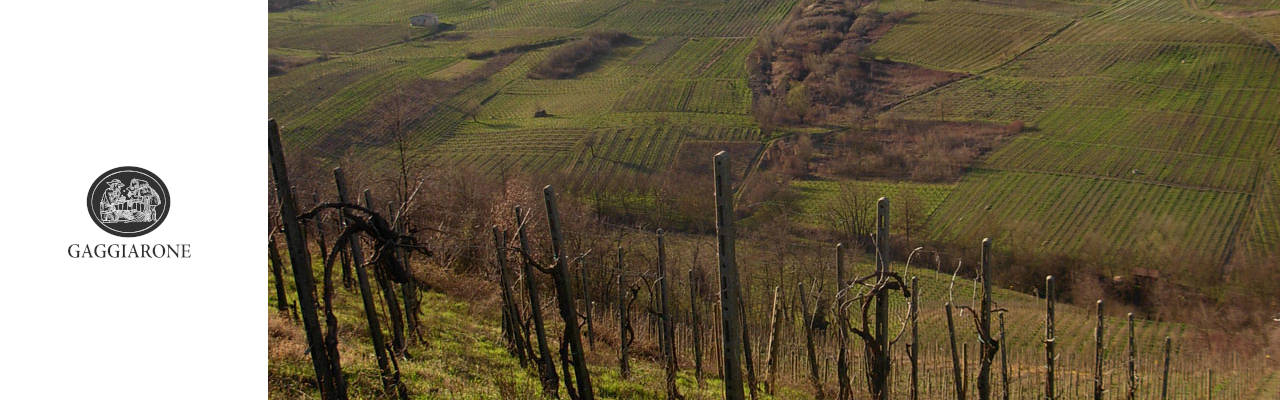 Alziati Winery