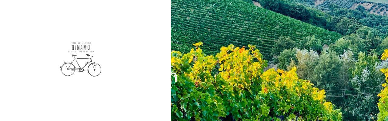 Progetto Agricolo Dinamo