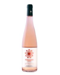 Benvenuto - Zibibbo Orange 2019