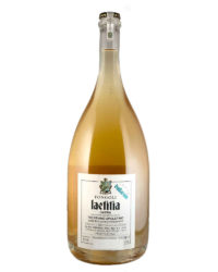 Fongoli - Bullarum Magnum 2019