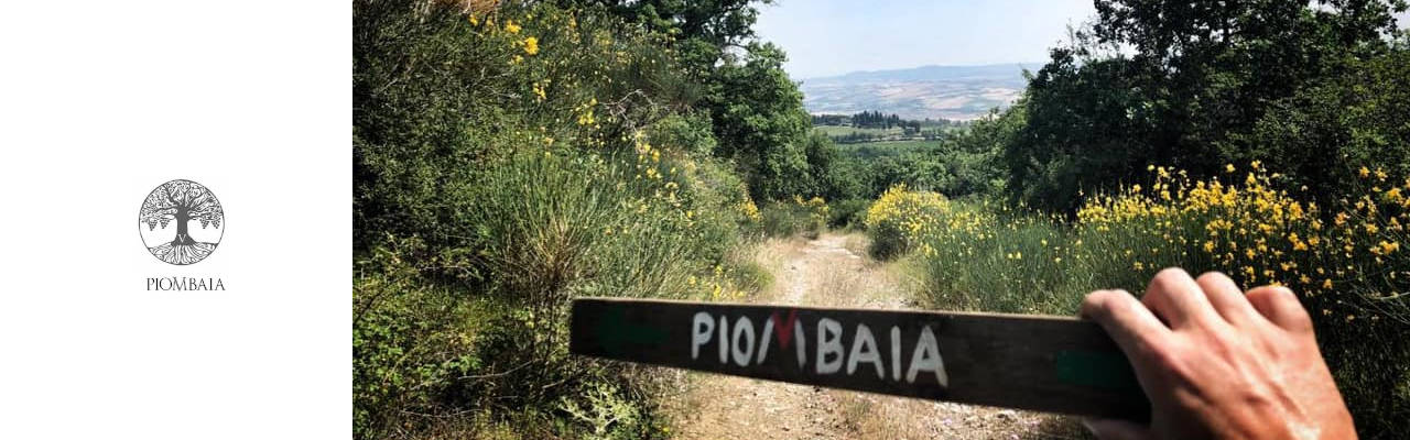 Piombaia Winery