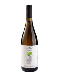 Tenuta del Conte - Cirò Bianco DOC 2023