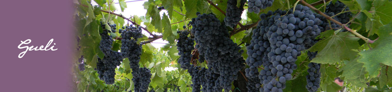 Cantina Gueli