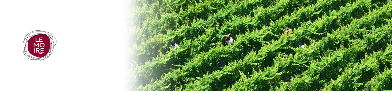 Le Moire Winery