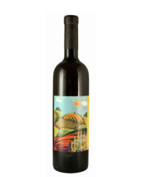 Cantina Giardino - Chianzano Campania IGT 2019