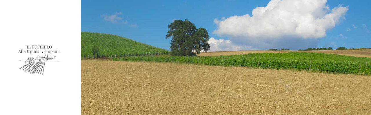 Tufiello Winery