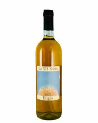 Maria Bortolotti - Eligio 2023