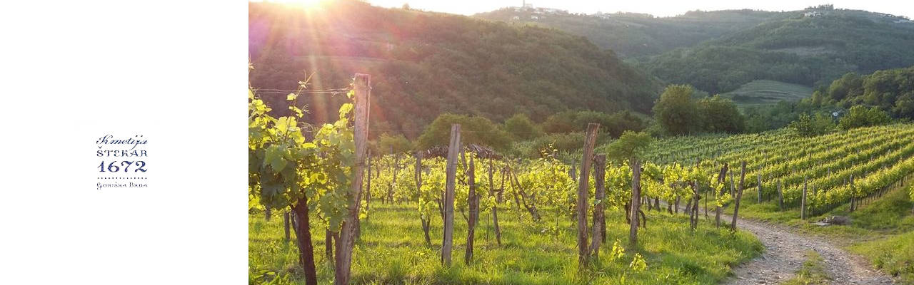 Kmetija Štekar Winery