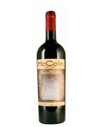 McCalin - Incontro 2017