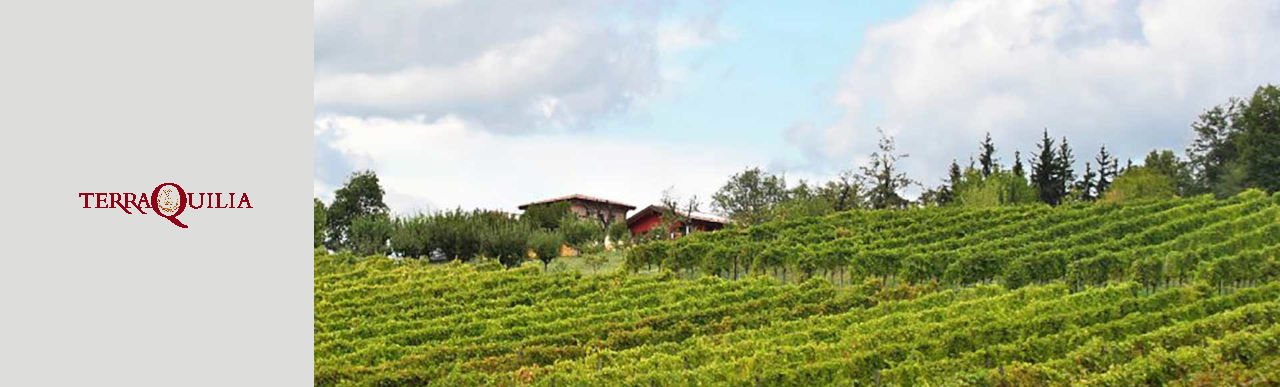 Terraquilia Winery