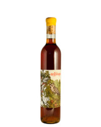 Bosco Falconeria - Assiolo 2019