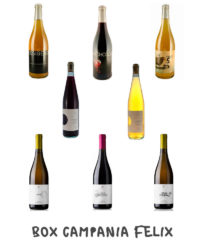 Selection Campania Natural Wines