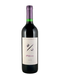 Fabio Signorelli - Madrenera 2019