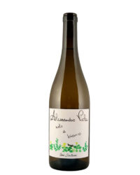 Alessandro Viola - Note di Bianco 2022