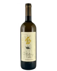 Ficomontanino - Zacinta Revi 2020