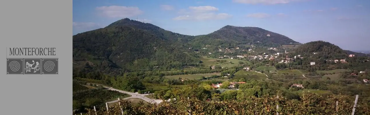 Cantina Monteforche