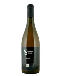Pistis Sophia - Tm2 100% Bucce 2020