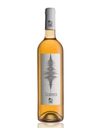 Cantina Giara - Cicaleccio 2023
