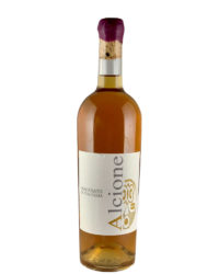 Favaloro - Alcione 2021