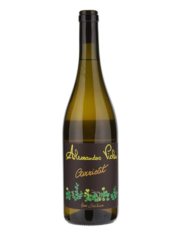 cantina alessandro viola carricat 1 Alessandro Viola - Carricat 2024