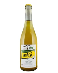 Colleformica - Moscà 2022